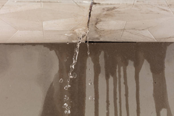 Professional Sewage Cleanup technician working in Sherman, IL